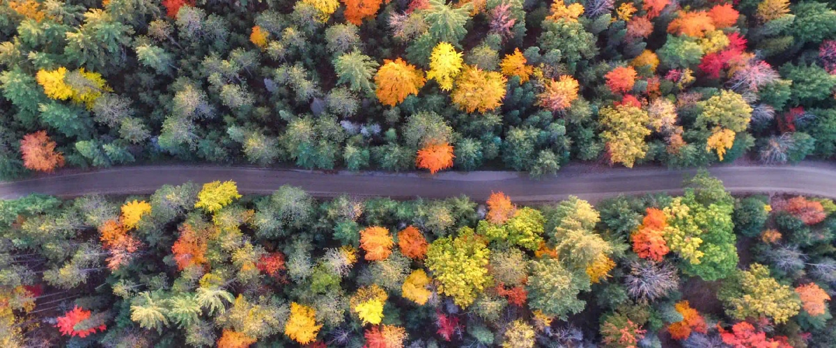 Best Thanksgiving Vacations: Top Spots to Celebrate in 2025