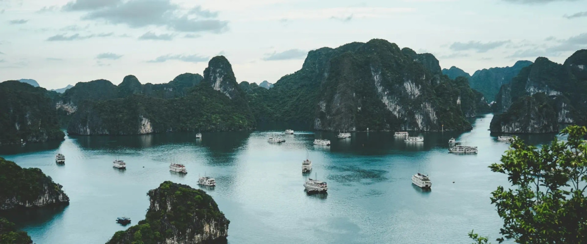 Best Time to Visit Vietnam: Top Months for an Amazing Trip