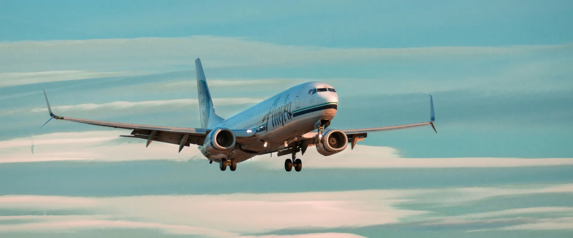 Plane in flight