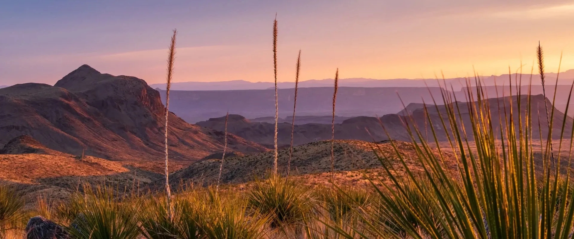 Desert landscape at sunset in West Texas
