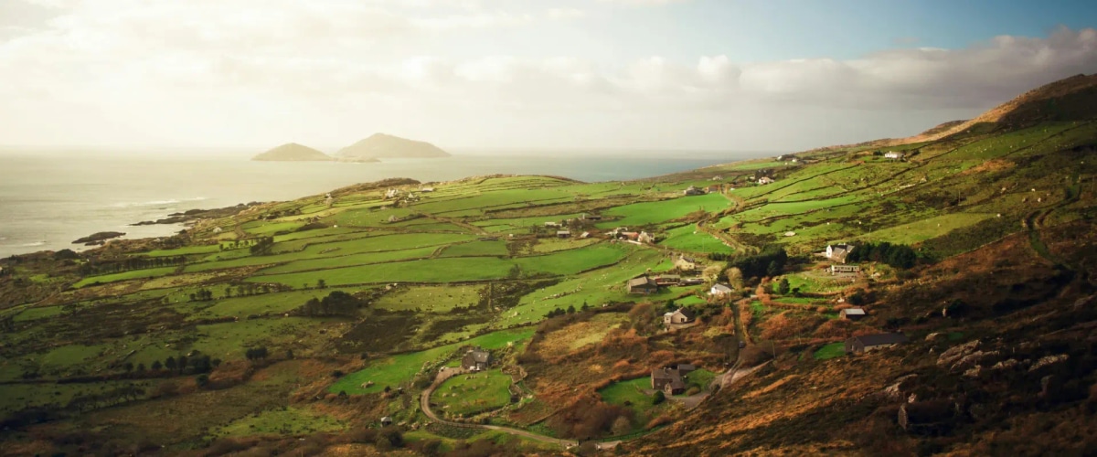 Best Flight Deals in 2024 (And How To Fly Cheap Next Year)